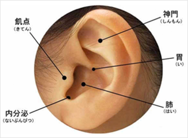 耳ツボダイエット